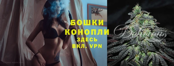 метадон Рославль