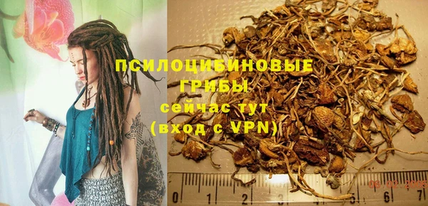 метадон Рославль