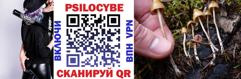 мега как войти  Юрьевец  Галлюциногенные грибы Psilocybine cubensis 